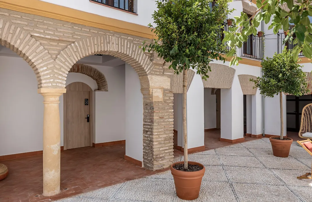 Cats Hostel Cordoba-1