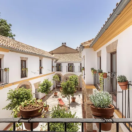 Cats Hostel Cordoba-2